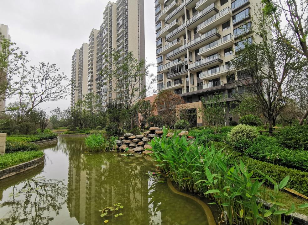 中国十大物业品牌排名,十大最强物业排名