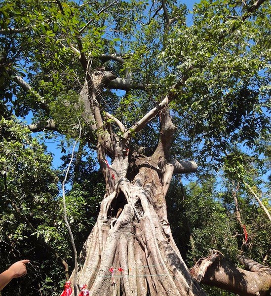 名气不及北海，这座南方边陲小城现在却比三亚更受北方人青睐！