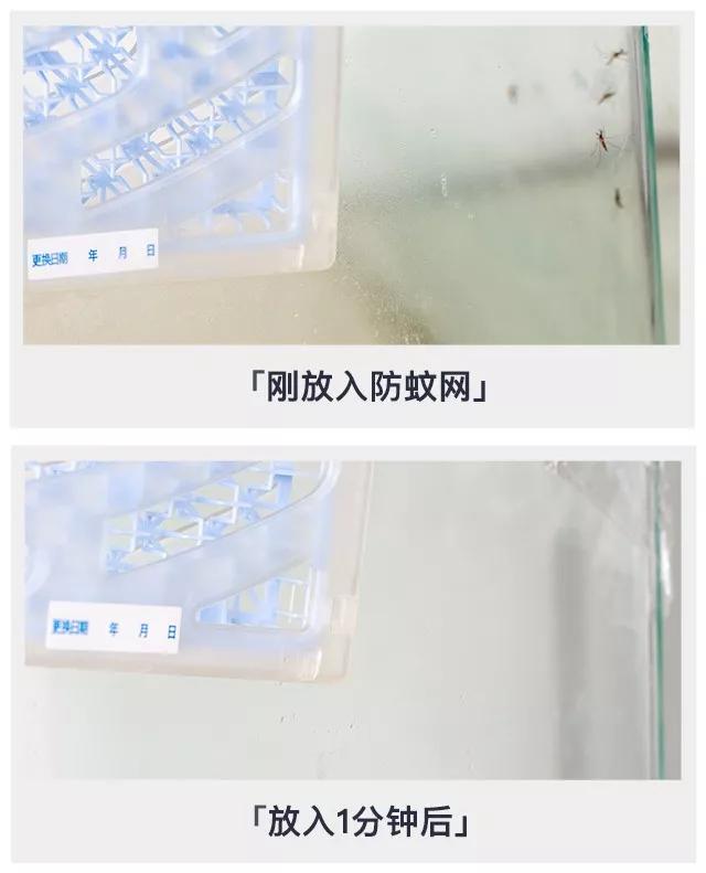 日本隐形蚊帐神器,黑科技折叠式蚊帐