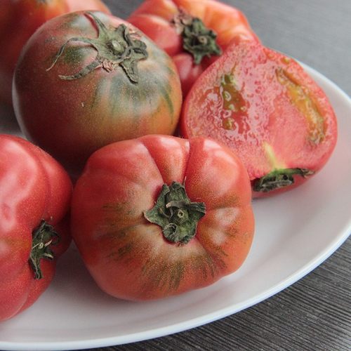 探析日本农业：从8个方面的比较分析，看中日农业差异（上篇）