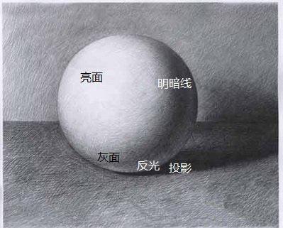 绘画素描入门教程速写,美术素描速写初学者简单教程