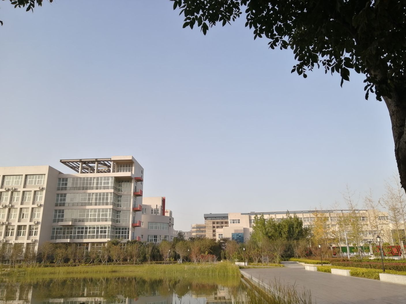 中国高职院校50强,深圳高职高专院校排名