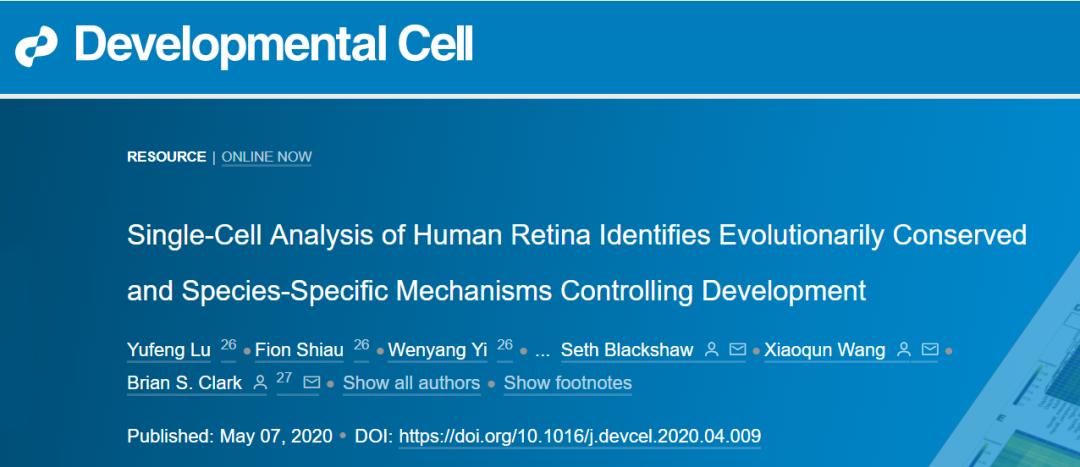 薛天​等利用单细胞测序技术成功揭示人类视网膜发育重要分子机制