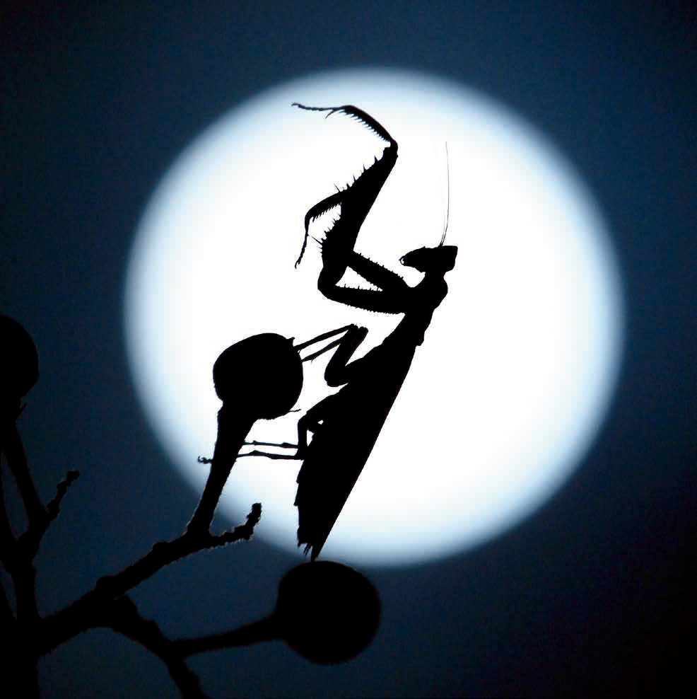 程斌摄影师,程斌摄影师作品