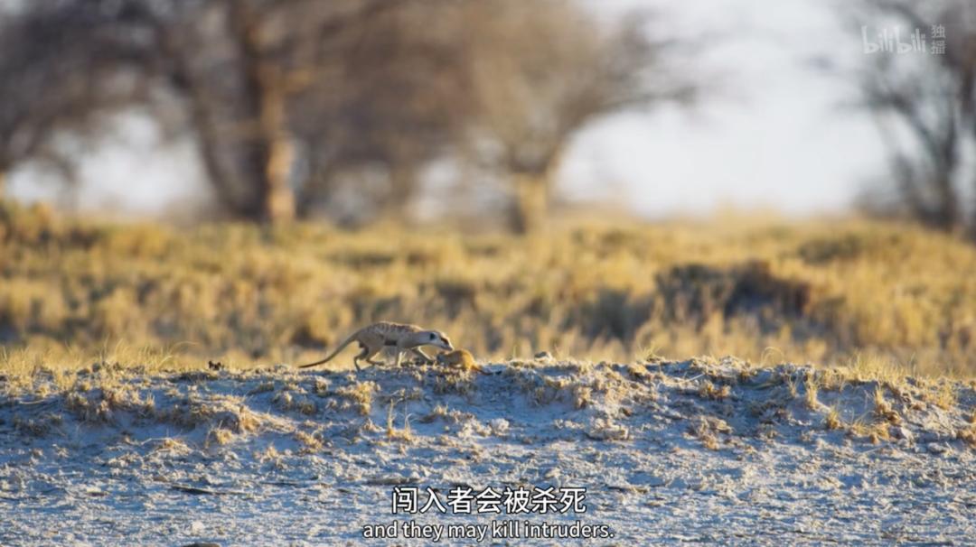 豆瓣评分9.5以上的国产电影有哪些,十部顶级神片推荐