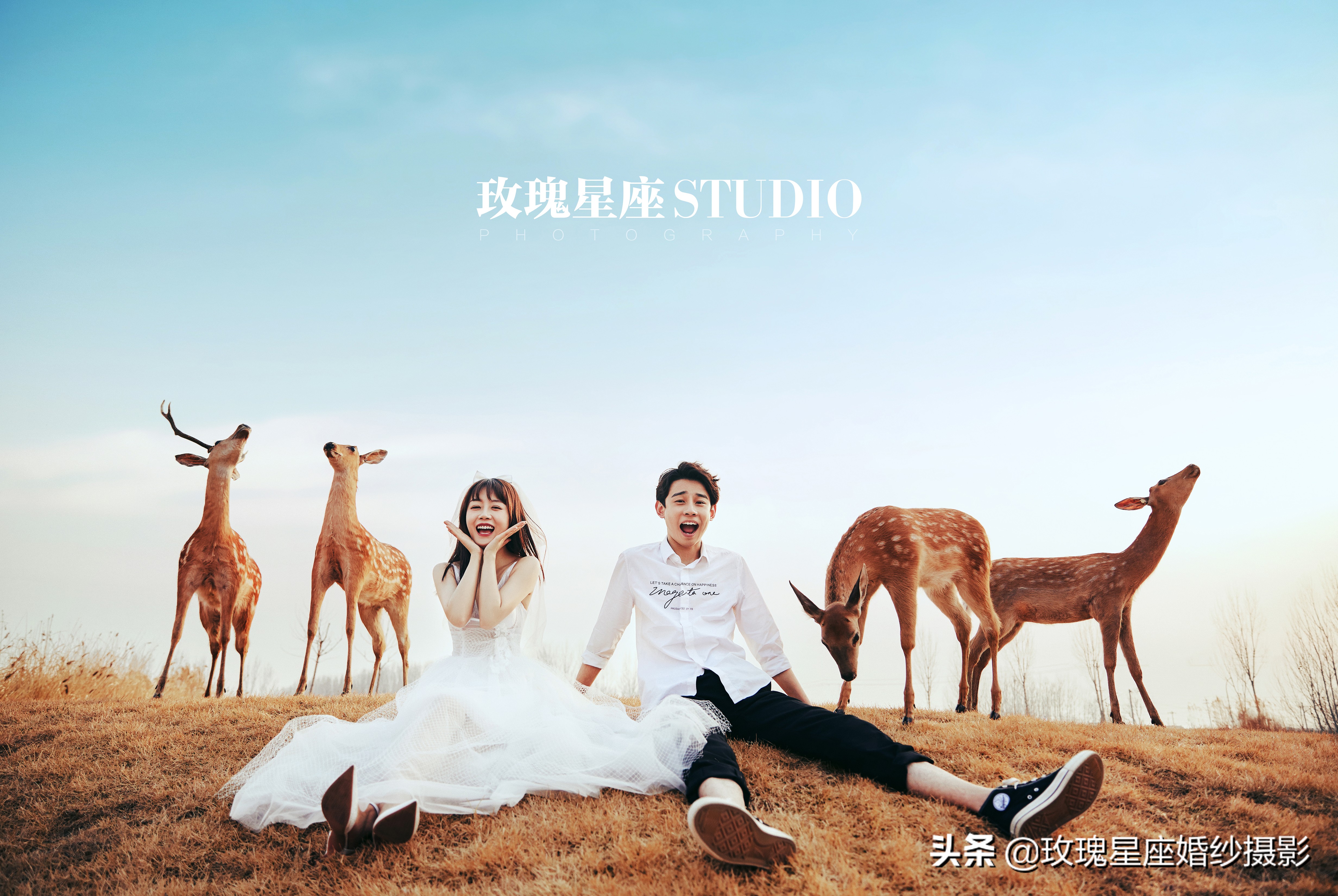 婚纱照都怎么拍最合适,拍婚纱照自己怎么拍才能好看呢