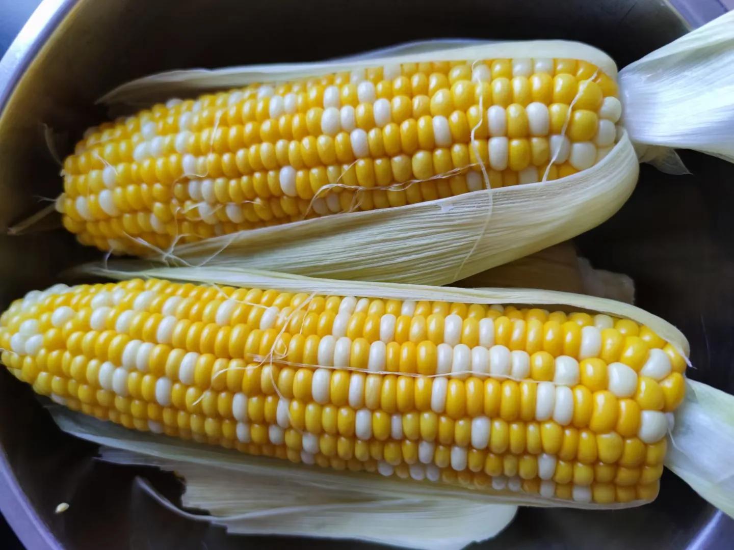 农业十种赚钱的经营模式,现代农业创业有哪些项目可以选择