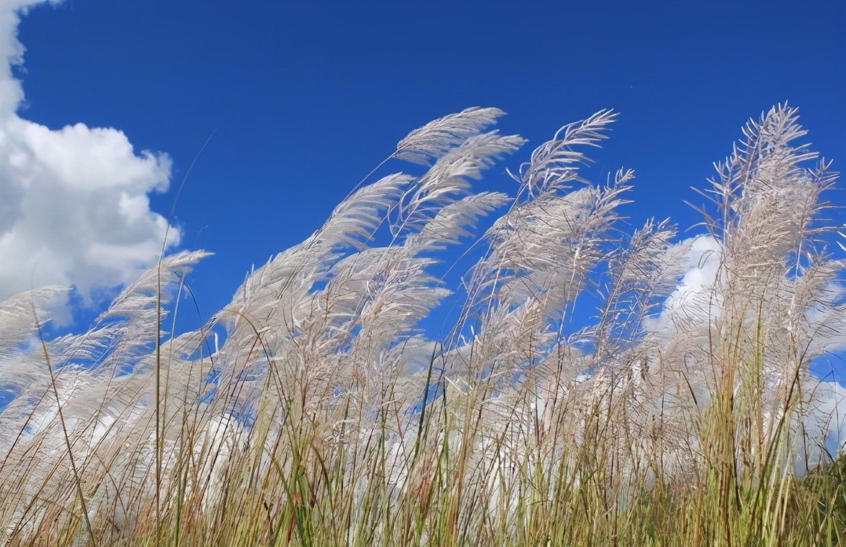 爱斤斤计较的人是什么心态,爱斤斤计较的人什么心理