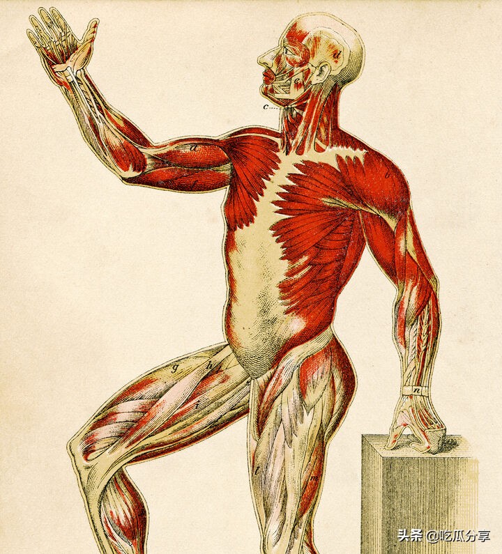 寻找裹着*皮人**的书背后的真相