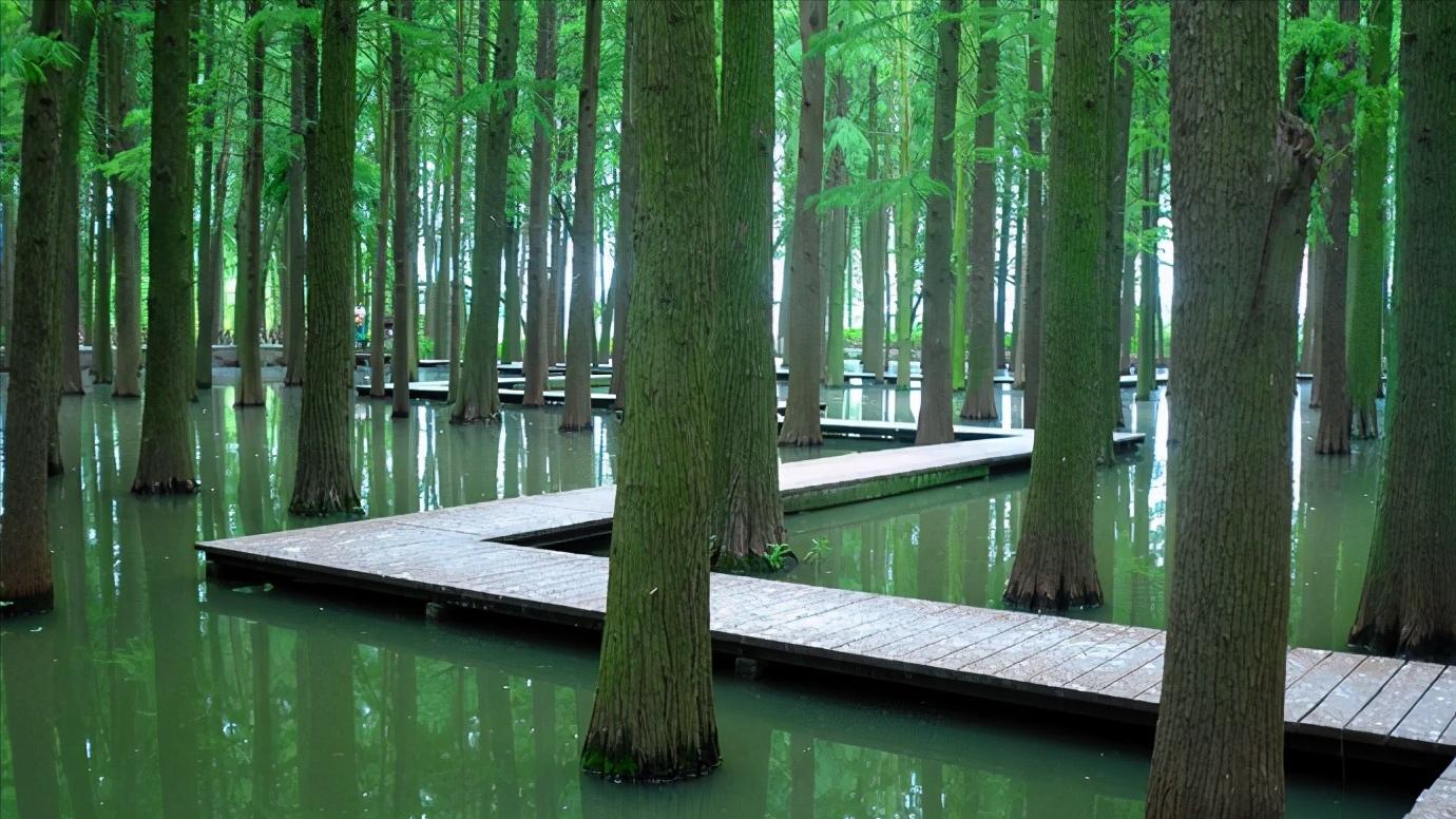 江苏省泰州市区域划分图,江苏泰州市属于华南还是华东