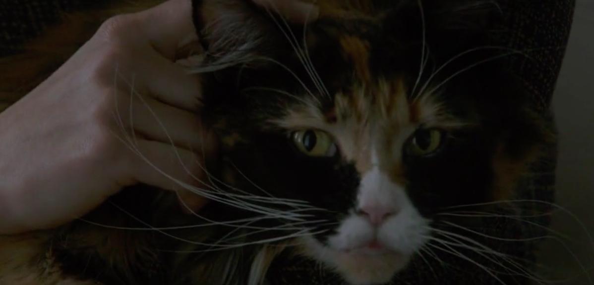 《双面情人》：纷繁欲望下，一场女性的自我探索与心灵救赎