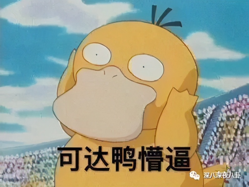 这波韭菜割得有点快,新一波韭菜又该熟了