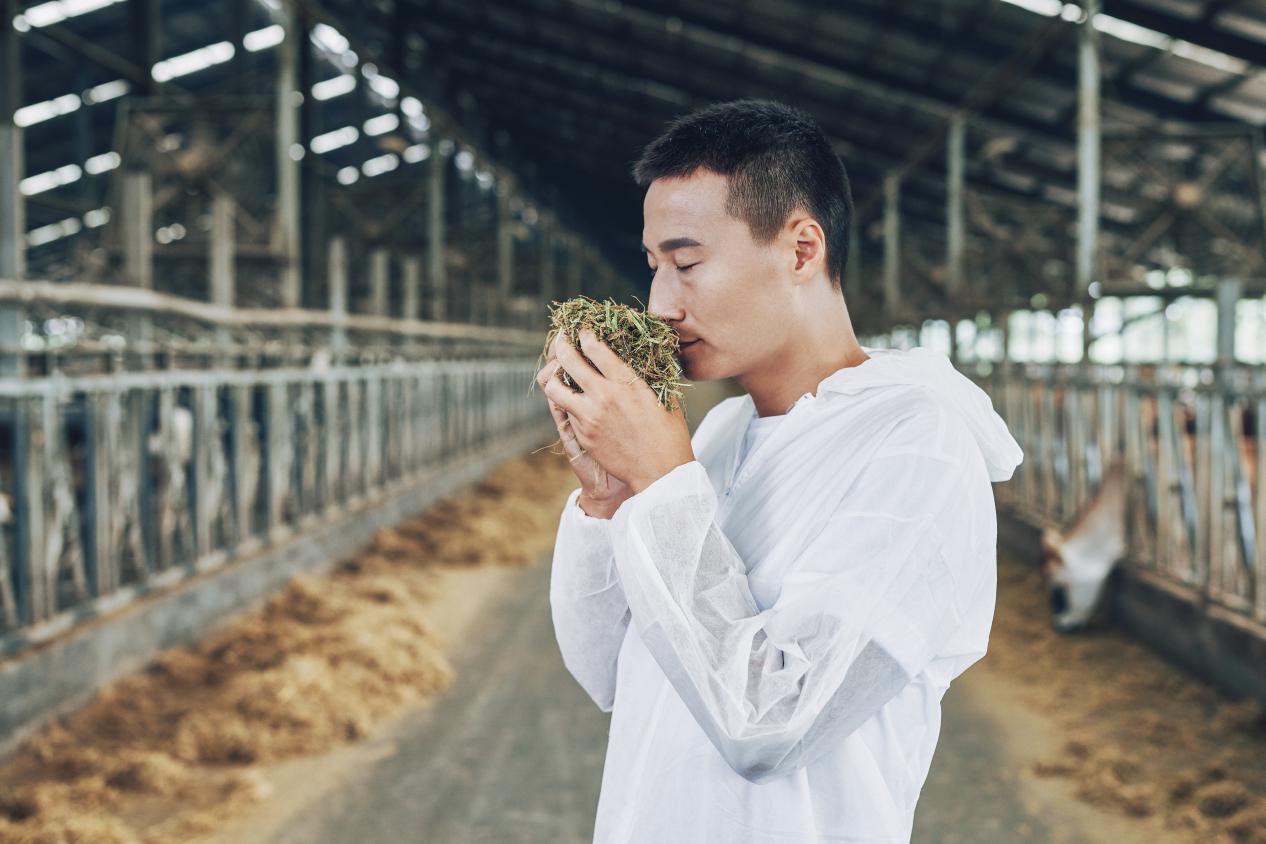 新希望华西牧场在哪里,新希望华西洪雅牧场直播间