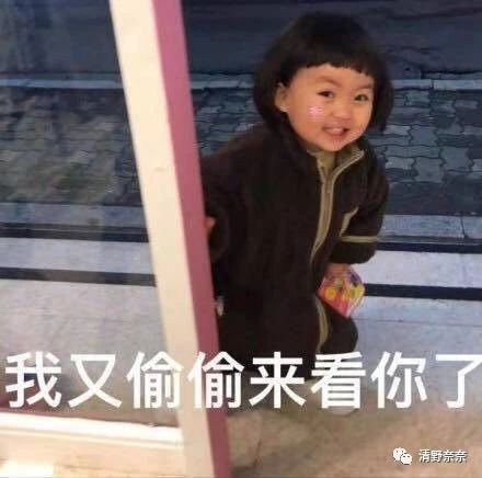 美白丸适合什么肤色,pola美白丸真的有美白效果吗