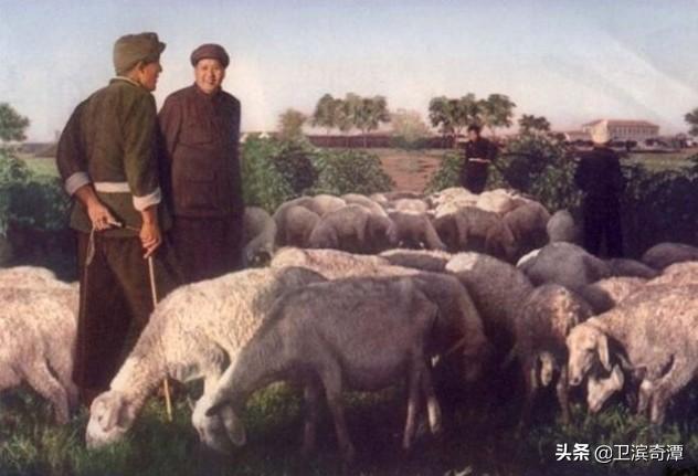 建国以后的河南新乡有哪些大事发生?(三)1951——1952