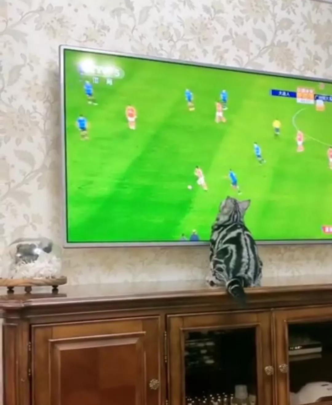 <html>
<head><title>502BadGateway</title></head>
<body>
<center><h1>502BadGateway</h1></center>
<hr><center>nginx</center>
</body>
</html>
<!--apaddingtodisableMSIEandChromefriendlyerrorpage-->
<!--apaddingtodisableMSIEandChromefriendlyerrorpage-->
<!--apaddingtodisableMSIEandChromefriendlyerrorpage-->
<!--apaddingtodisableMSIEandChromefriendlyerrorpage-->
<!--apaddingtodisableMSIEandChromefriendlyerrorpage-->
<!--apaddingtodisableMSIEandChromefriendlyerrorpage-->
