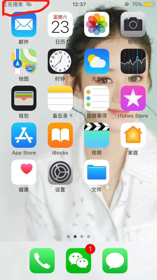 各种苹果二手手机价格,各种苹果手机通病