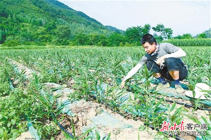 幸福美好的小康生活,小康新时代幸福生活