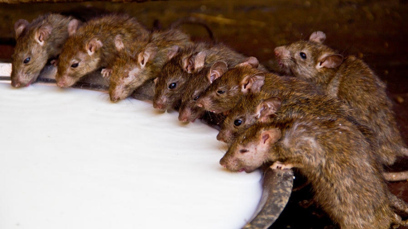 科学家预测人类消亡时间,年轻人离世的因果