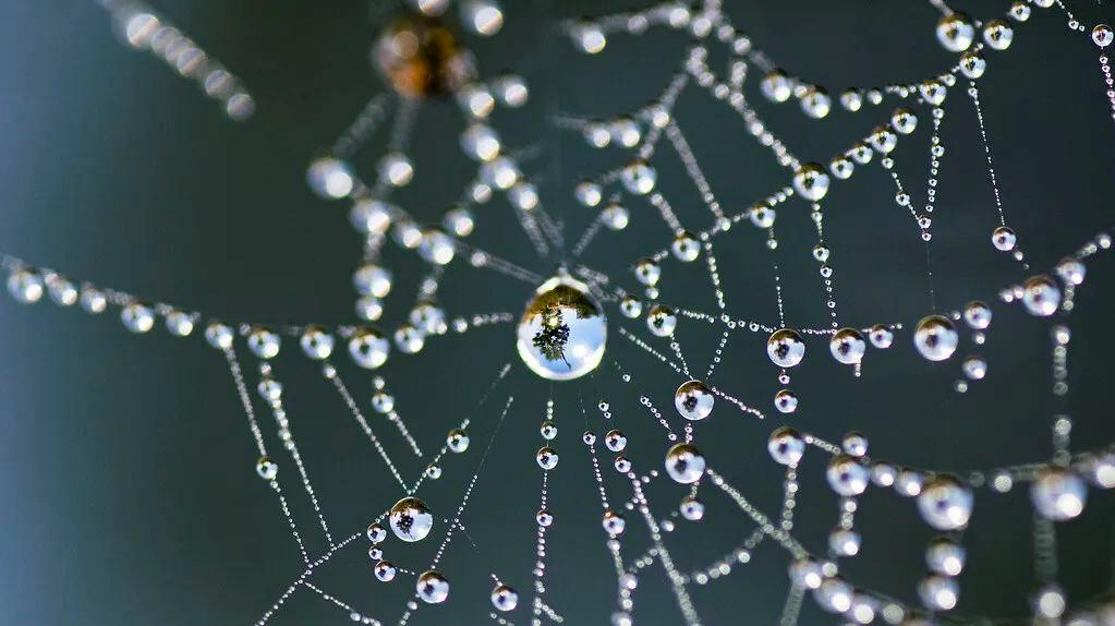 长痘便秘要怎么内调排毒,便秘长痘怎么调理