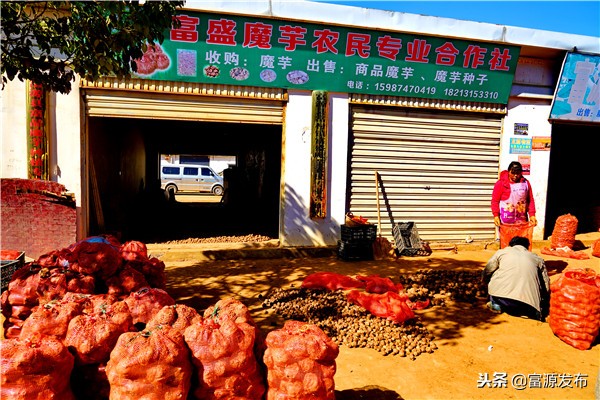 富村魔芋交易市场小区,广东最大魔芋批发市场
