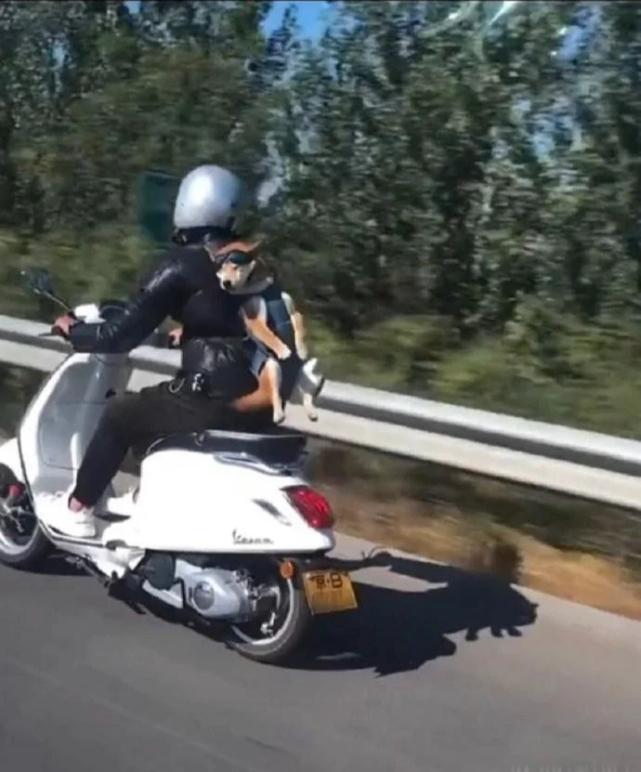 女朋友老喜欢看帅哥怎么办,女朋友总喜欢看帅哥怎么办