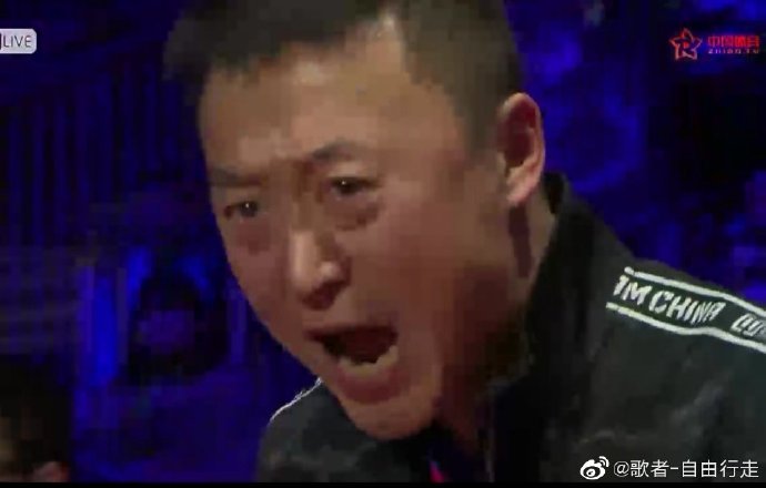 马琳被质疑陈梦4:0孙颖莎,马琳评价陈梦现状