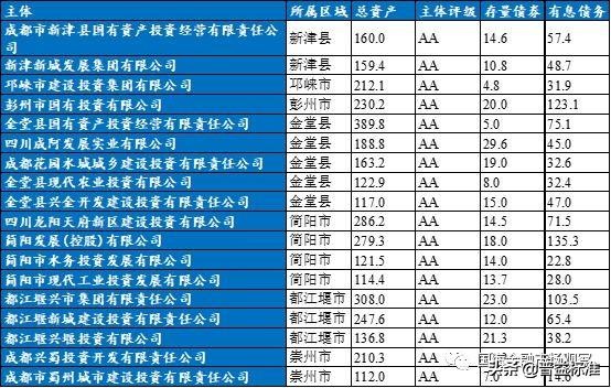 成都城投集团资产负债率,成都市政府地方城投债