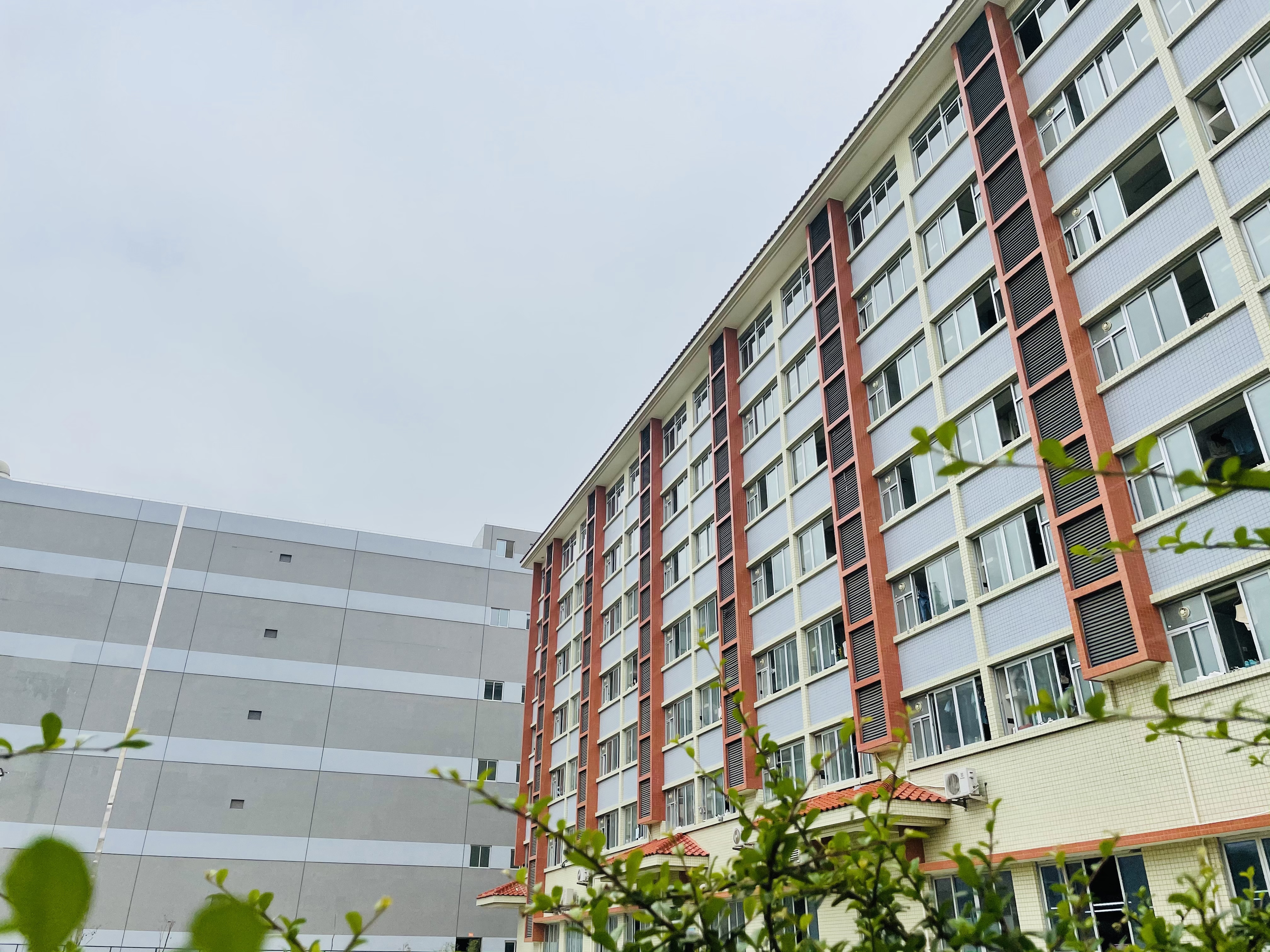 求职附近工厂的临时工,找工厂做临时工怎么找