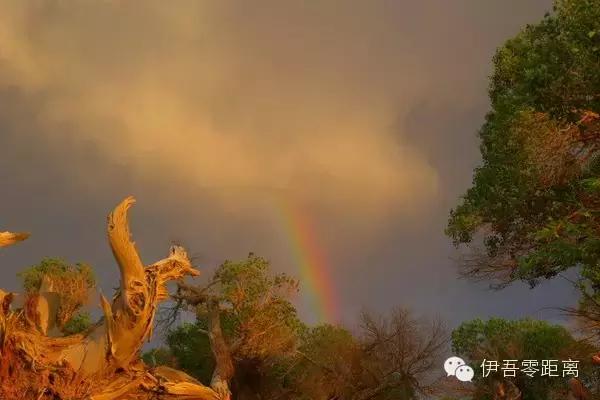 *疆新**伊吾—一个幸福的地方