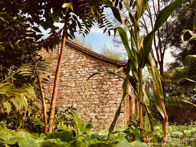 新安县铁门镇庙头村新旧照片对比,新安县庙头村的老照片