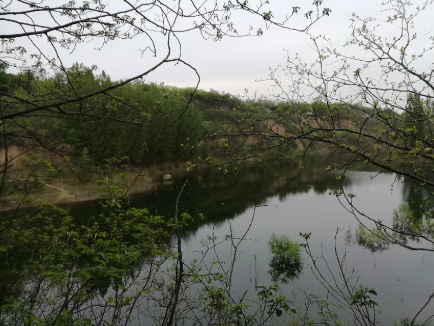 郑州树木园最新视频,郑州树木园现状