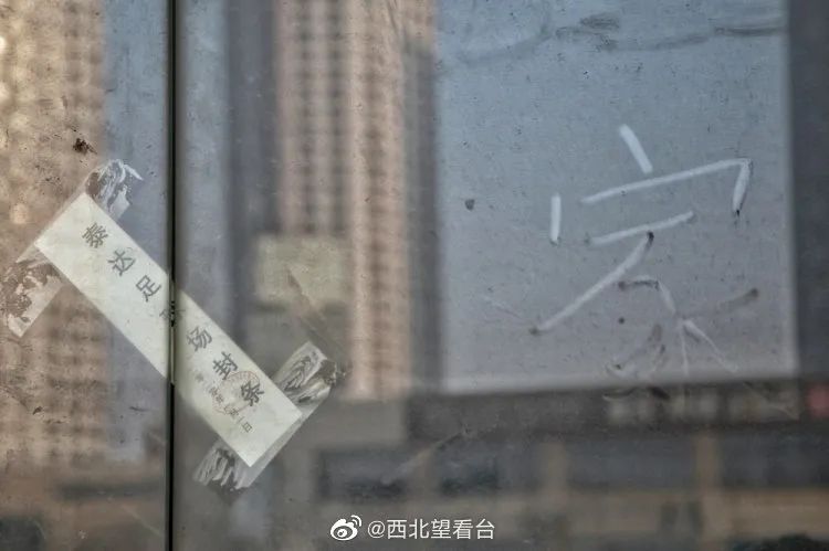 天津津门虎主场泰达,天津泰达津门虎俱乐部