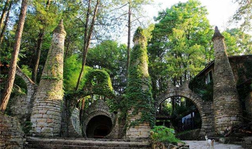 贵州小伙深山修行20年,贵州一男子隐居山林20余载