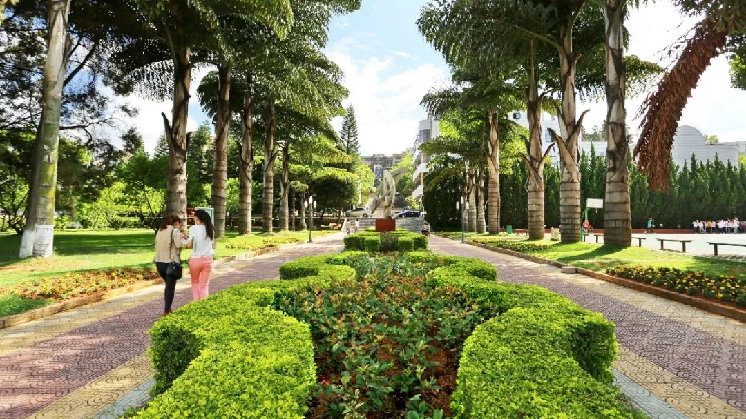 玉溪师范学院凤凰路134号乐队,玉溪师范学院的故事