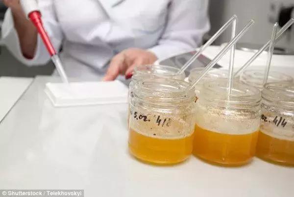 澳洲保健品乱象,澳洲最新假货消息