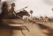 非洲斑马，食草动物界扛把子