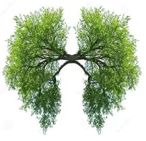 酵素作用全面解答,酵素效果讲解视频