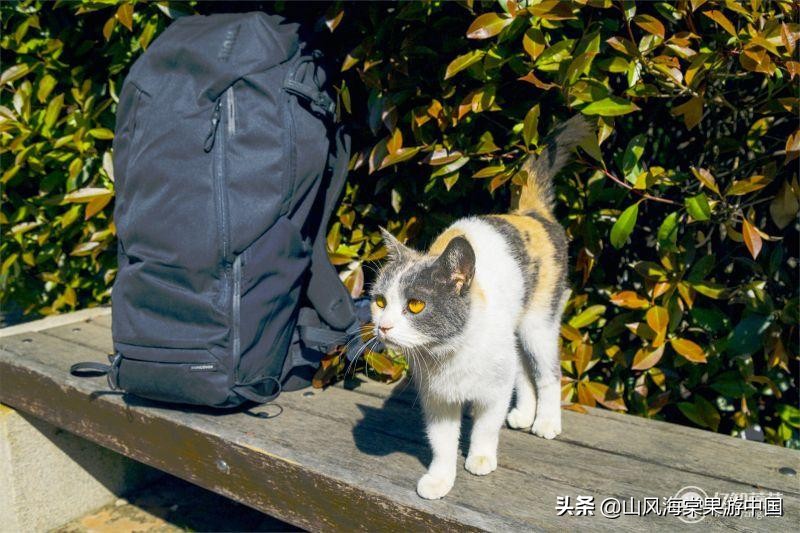 拓乐thule35l双肩包,thule拓乐双肩包10升