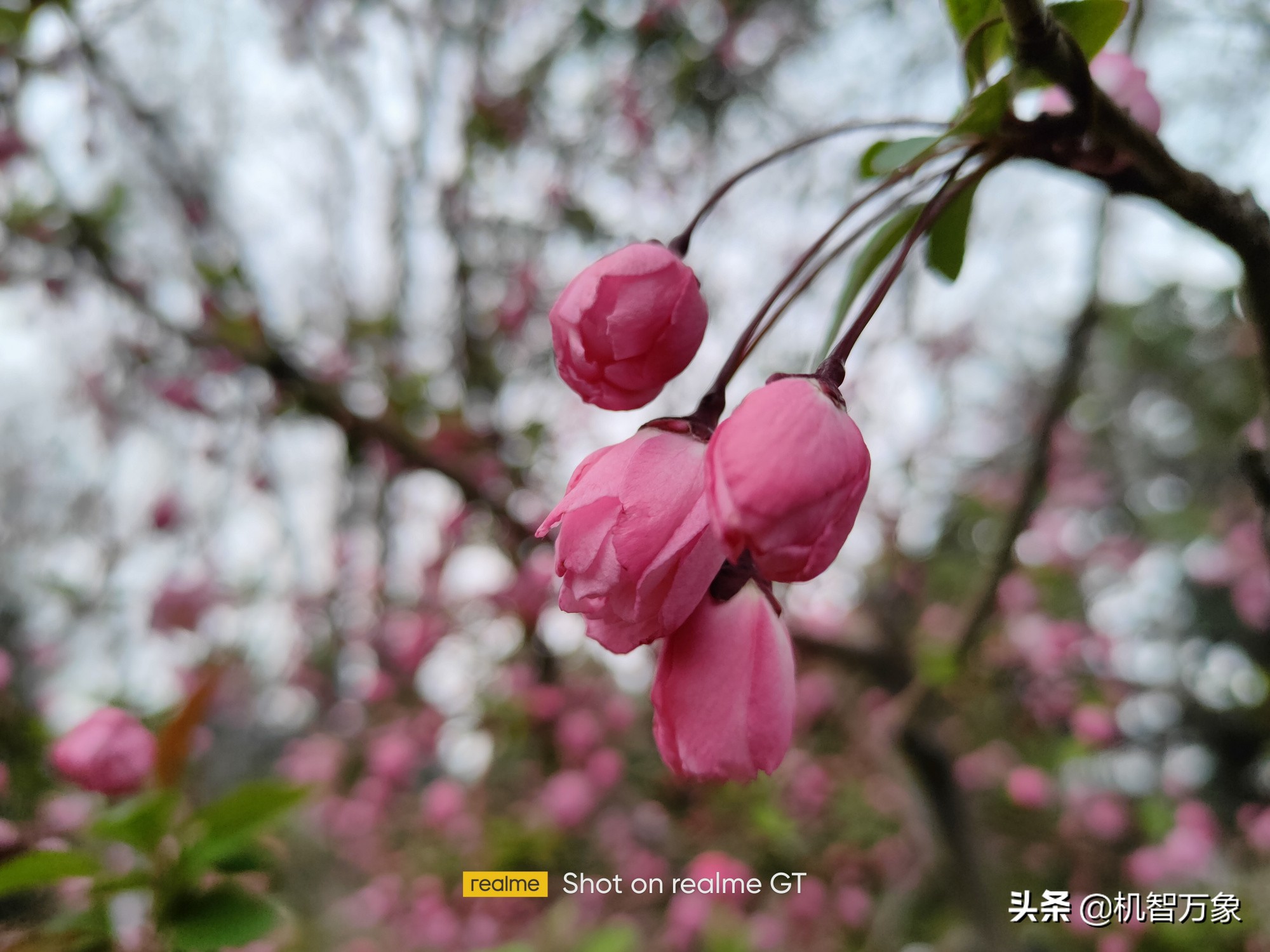 realme真我gt深度评测优缺点,realme真我GT测评