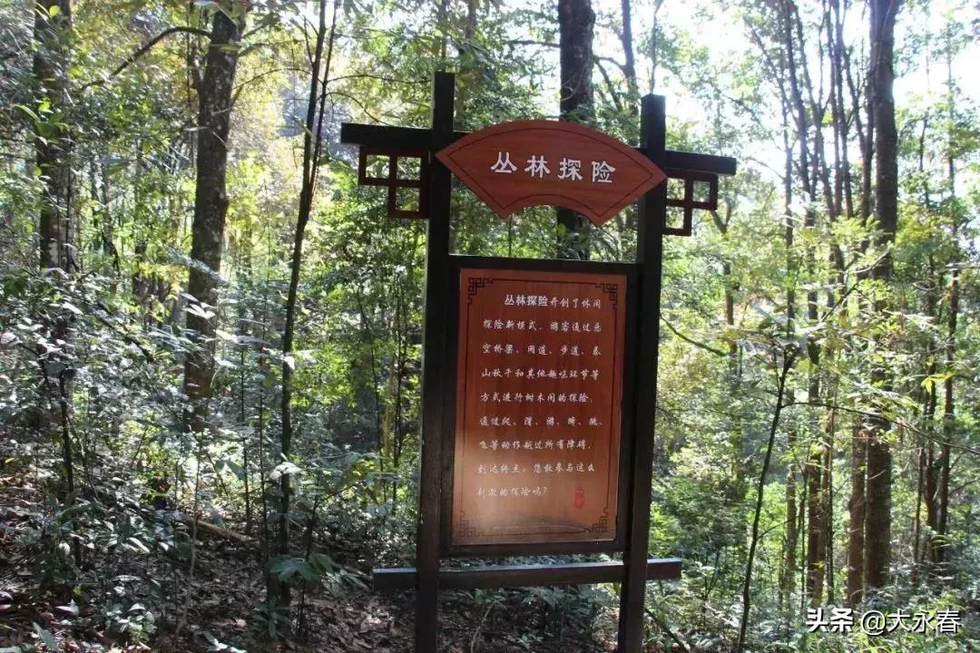 永春免费旅游景点大全一日游,永春山歌小镇旅游攻略