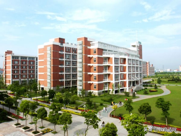 浙江填志愿分数优先还是志愿优先,浙大三位一体填志愿技巧