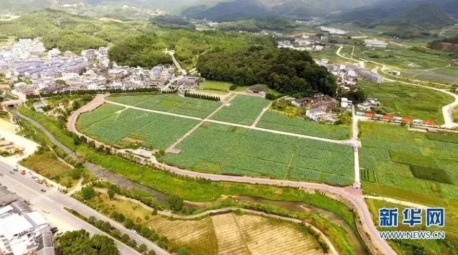 学习古田会议总结,重温红色记忆古田会议