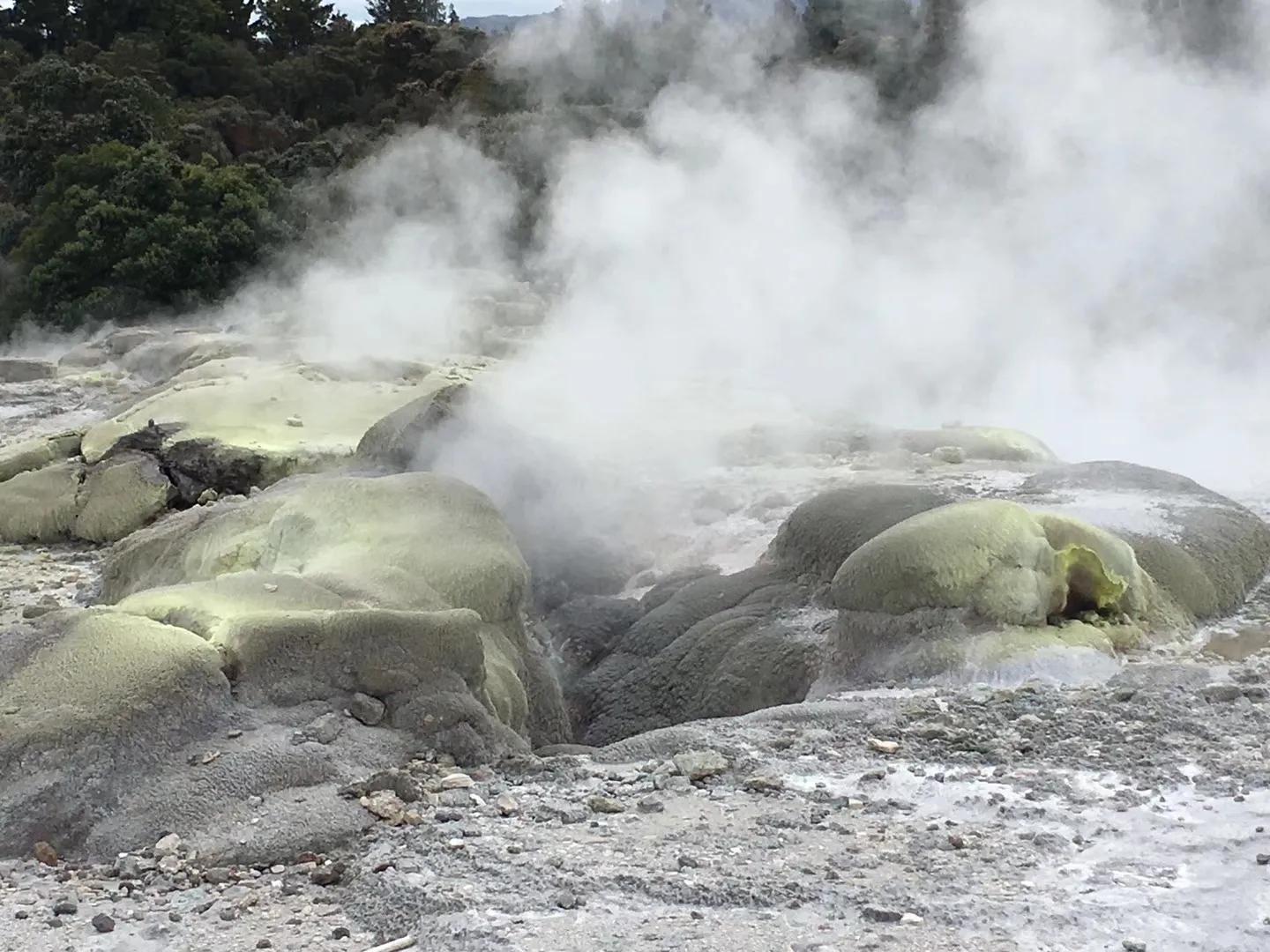 记忆中的旅行之新西兰（北岛）
