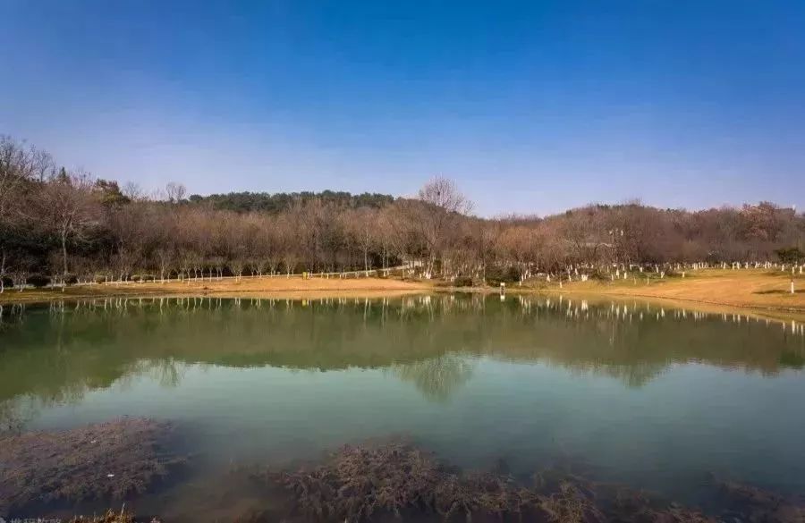 南京公园免费日期,免费公园南京