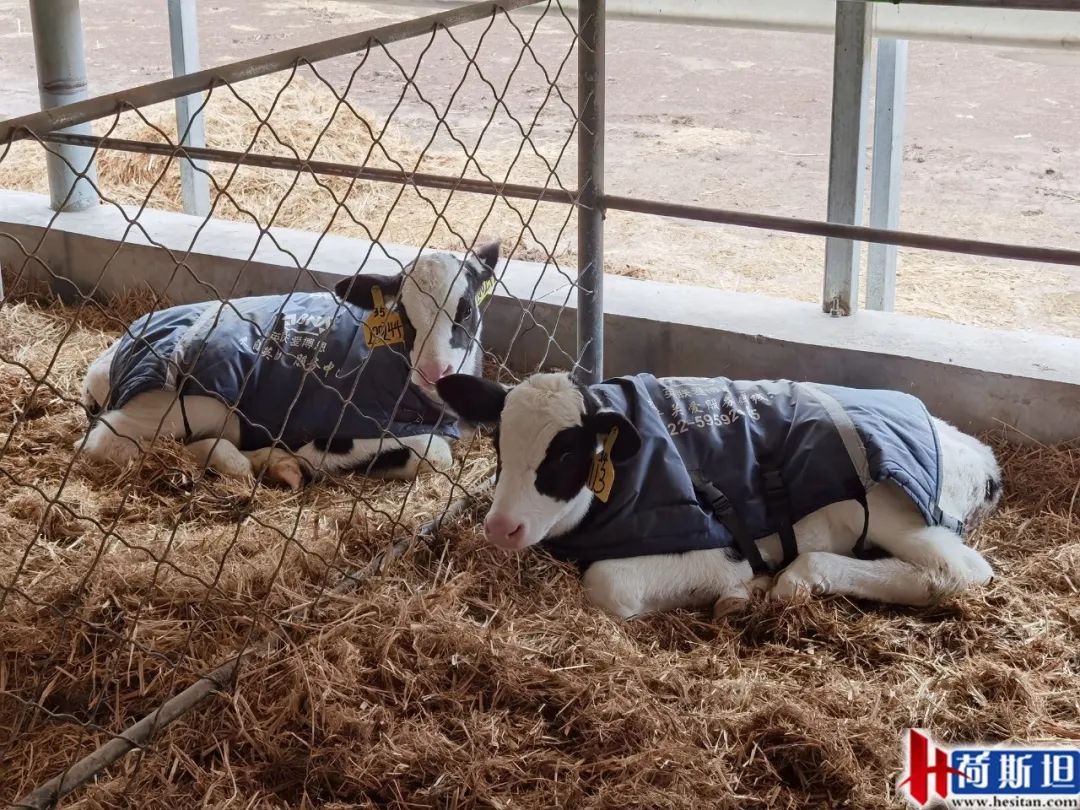 走进乐源君邦和邢台君兴丨中瑞项目她来了