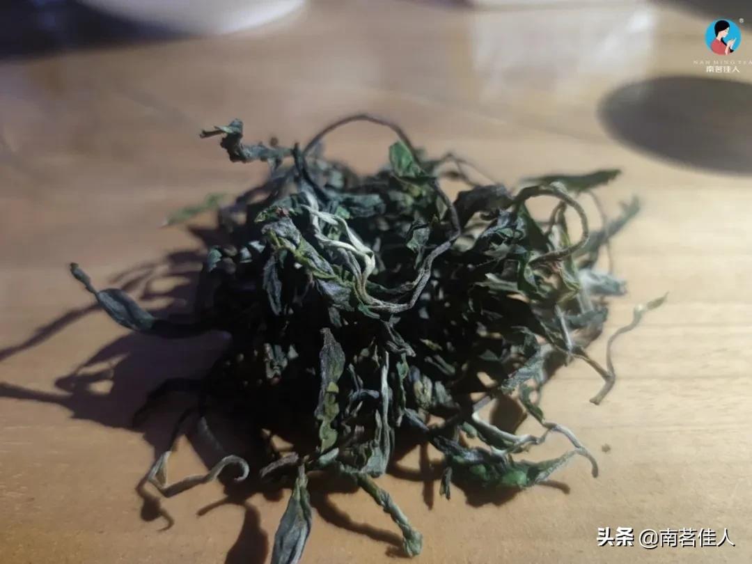 2022茶山行临沧云县,茶山行第一天