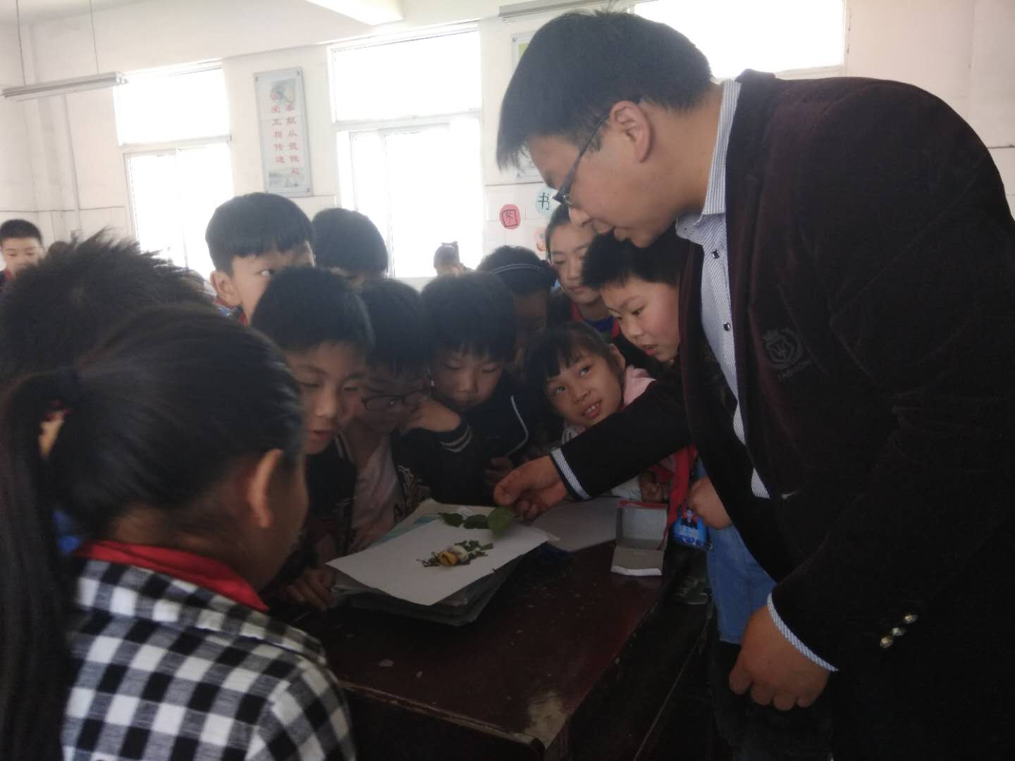 害怕养蚕,不要轻易养蚕