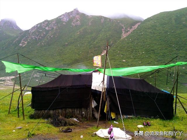 年保玉则现在开放了吗,年保玉则为啥被封