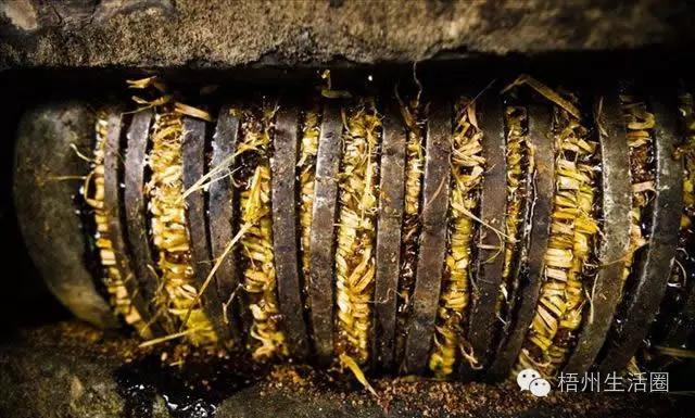 “茶油煮饭，锅底刮烂”！罗定的你试过了吗？